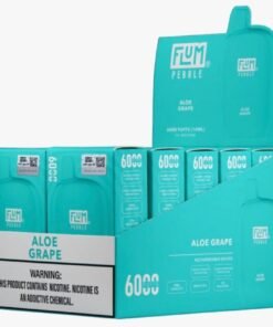 Flum Pebble Aloe Grape 6000 puffs (10 pack)
