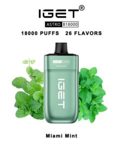 IGET Astro Disposable Vape 18000 Puffs – Miami Mint