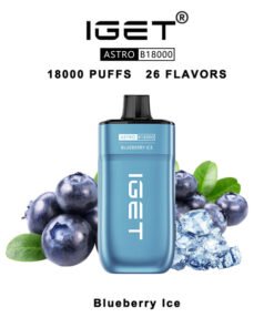 IGET Astro Disposable Vape 18000 Puffs – Blueberry Ice
