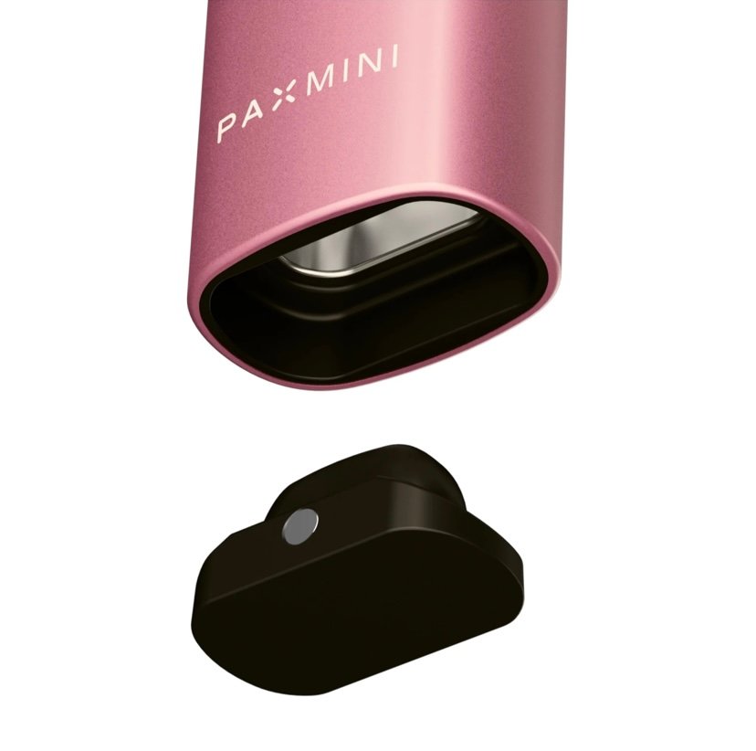 Pax Mini New Special Edition Pink Crush - Image 6