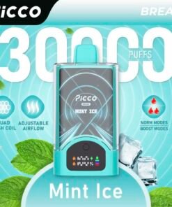 Picco Break 30000 Puffs – Mint Ice