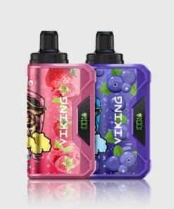VapSolo VIKING 12000 Puffs – Pack 2 items