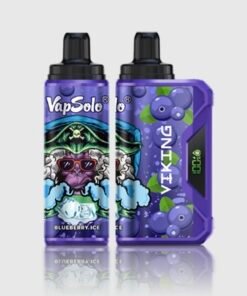 VapSolo VIKING 12000 Puffs Blueberry Ice