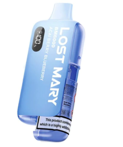 Lost Mary BM6000 Refillable Vape Kit-Acai Berry Blueberry