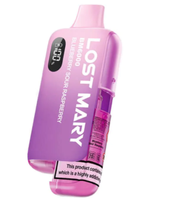 Lost Mary BM6000 Refillable Vape Kit-Blueberry Sour Raspberry