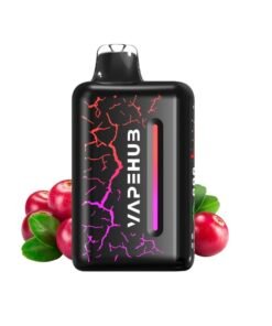 MIDNIGHT BERRY CHILL – VAPEHUB ULTRA 20000