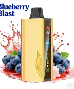 Blueberry Blast – JNR CRUISER 12000 PUFFS