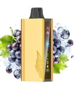 Grape Ice – JNR CRUISER 12000 PUFFS