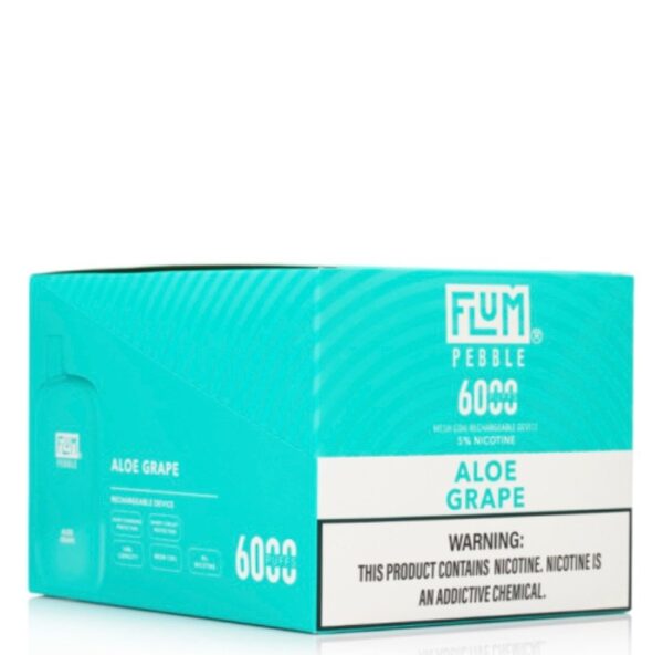Flum Pebble Aloe Grape 6000 puffs (10 pack)