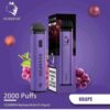 Gunnpod 2000 – Grape – 10 pack